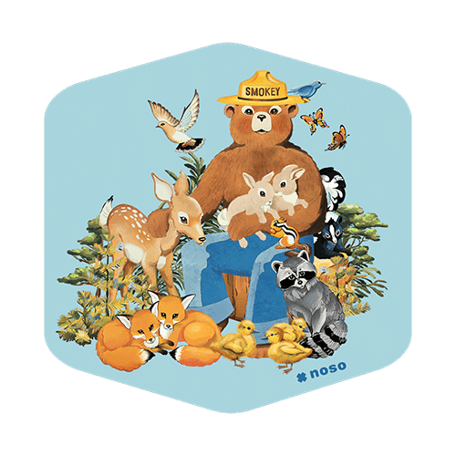 PATCH RAICHU POKÉMON Toppa Termoadesiva Iron On Embroidered Elettro - Foto 4