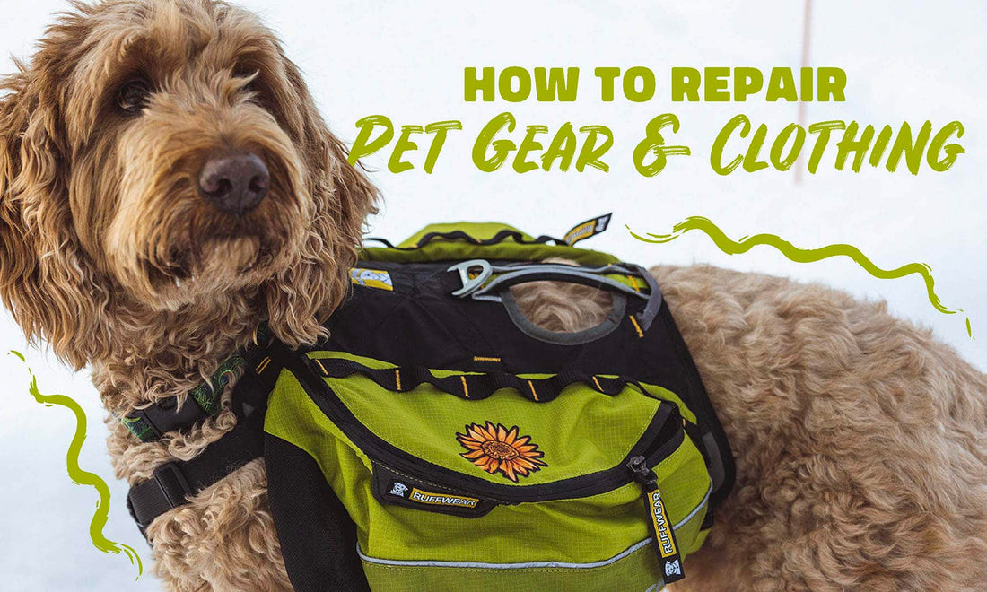 How to Repair Pet Gear & Clothing