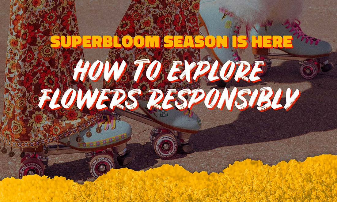 Superbloom Season Is Here: How to Explore Flowers Responsibly