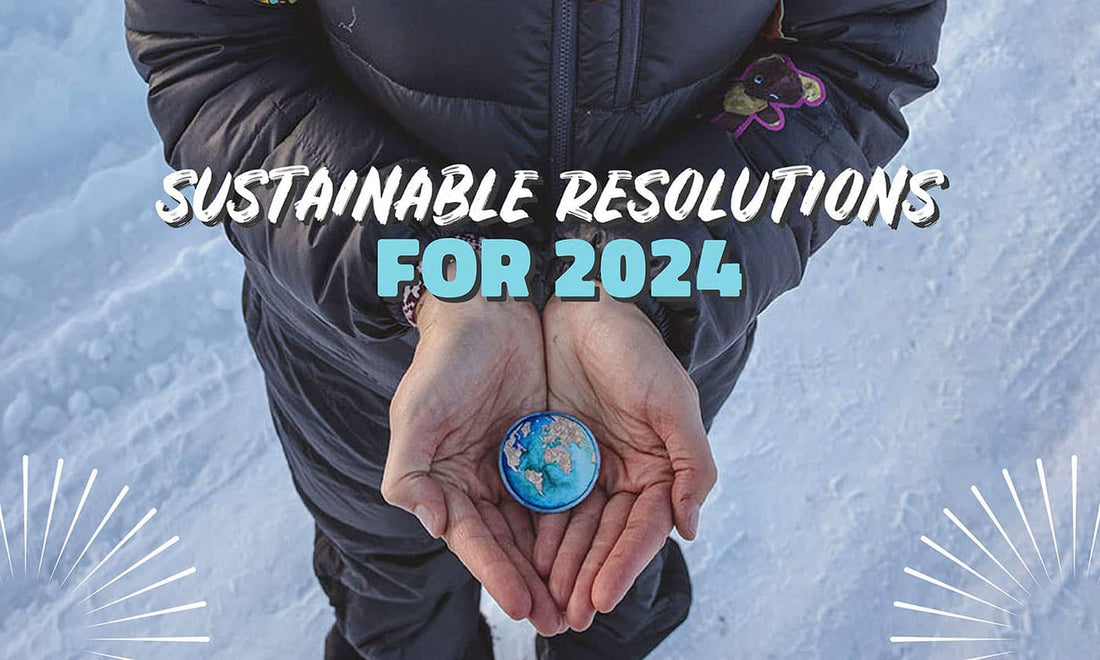 Sustainable Resolutions for 2024
