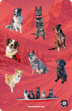 JHSP AVY DOG DAZZITS