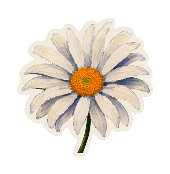 DAISY