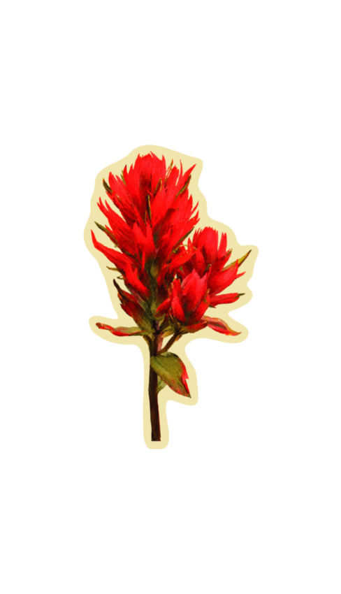PAINTBRUSH