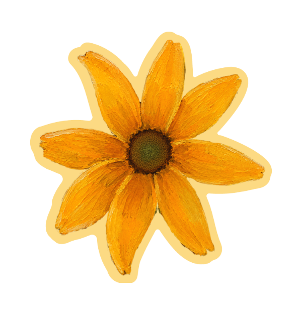 BLACK EYED SUSAN