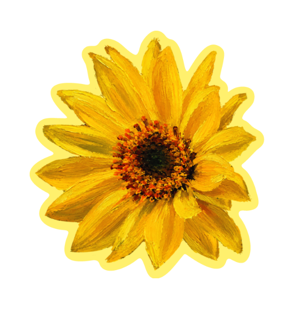 SUNFLOWER CONTOUR