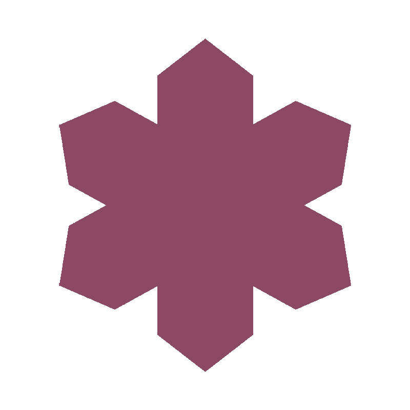 WINTER SNOWFLAKE 2026 (LTD. ED.)