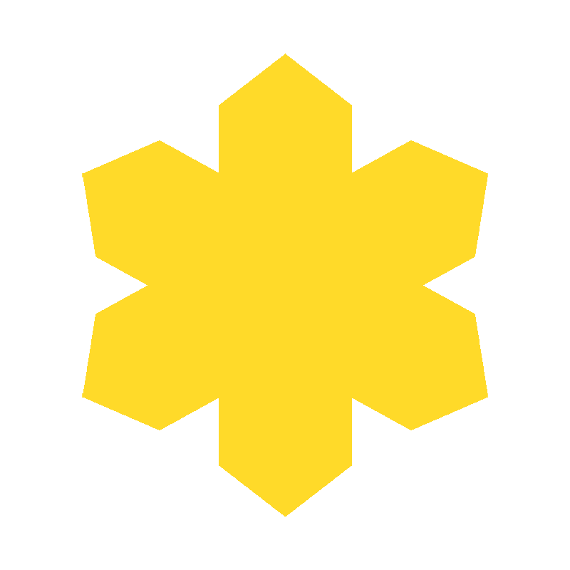 WINTER SNOWFLAKE 2026 (LTD. ED.)