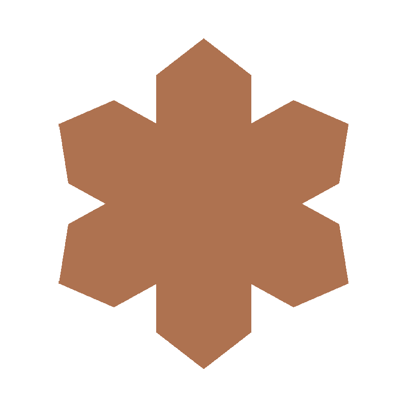 WINTER SNOWFLAKE 2026 (LTD. ED.)