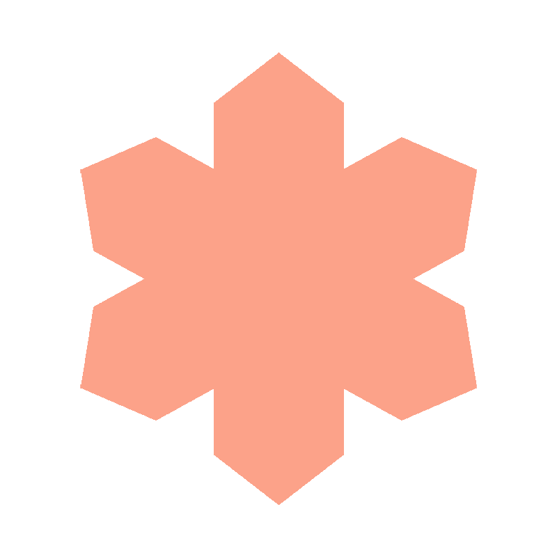 WINTER SNOWFLAKE 2026 (LTD. ED.)