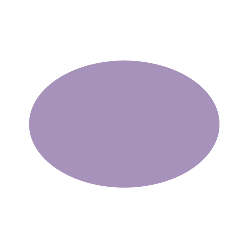 WINTER OVAL 2026 (LTD. ED.)