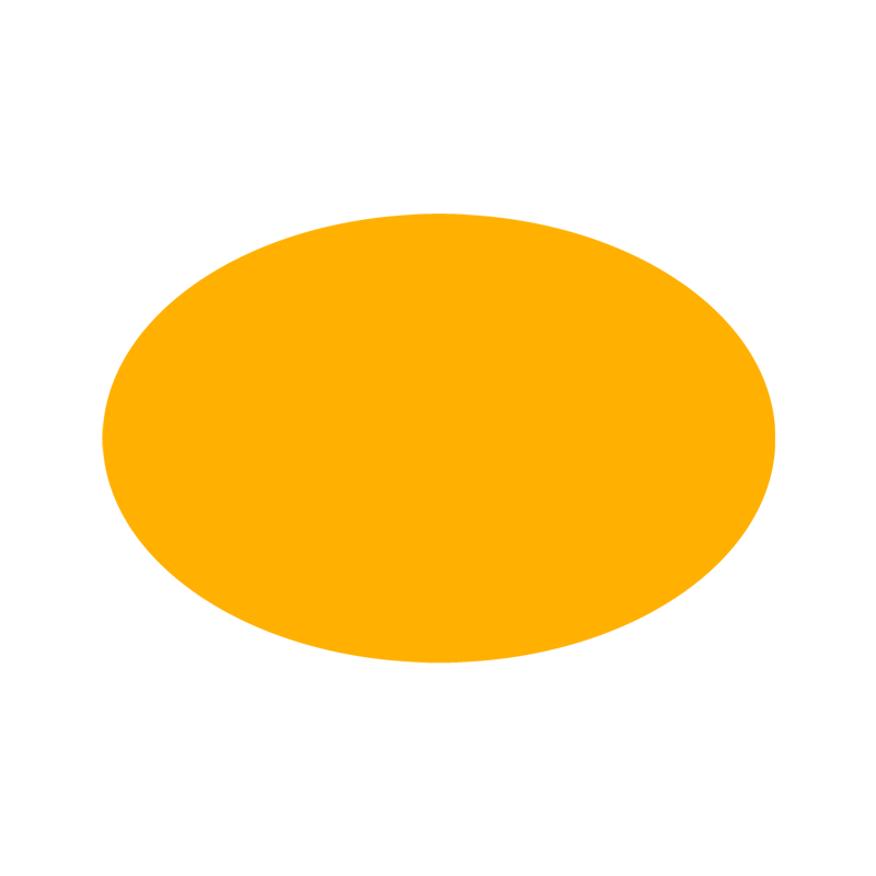 WINTER OVAL 2026 (LTD. ED.)