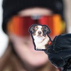 GOOSE THE AVY DOG