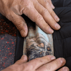 DISSIPATION by Bryan Iguchi