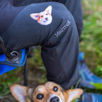PENNY THE CORGI