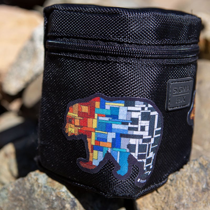 GLASS BEAR  by Kasey Jones