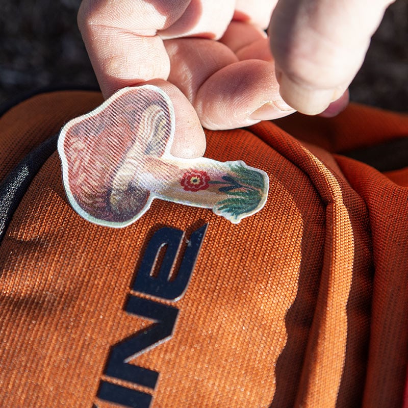 MUSHROOMS DAZZITS™ by NATHALIE LETÉ