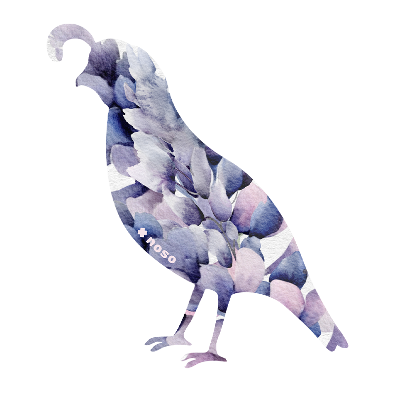 FLORAL QUAIL