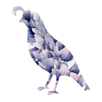 FLORAL QUAIL