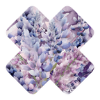 LUPINE X