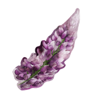 PAINTED LUPINE
