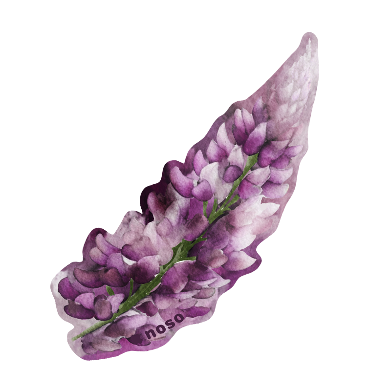 PAINTED LUPINE