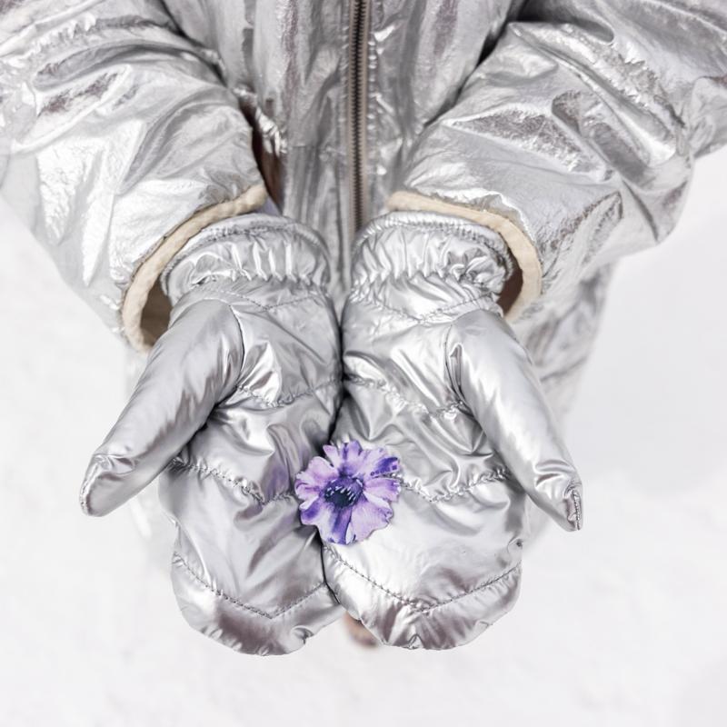 PURPLE DAISY