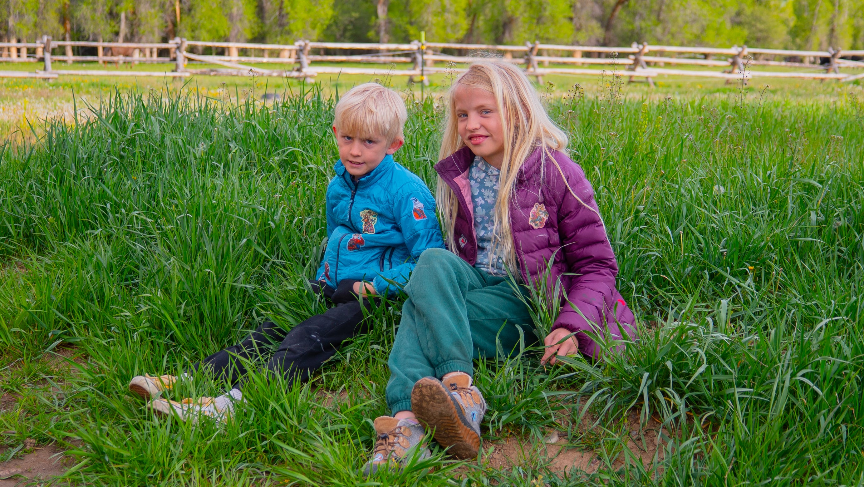 ELK & CAMPING SQUIRRELS by Rachel Kozlowski