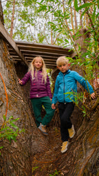 FOREST FRIENDS DAZZITS™ by Rachel Kozlowski