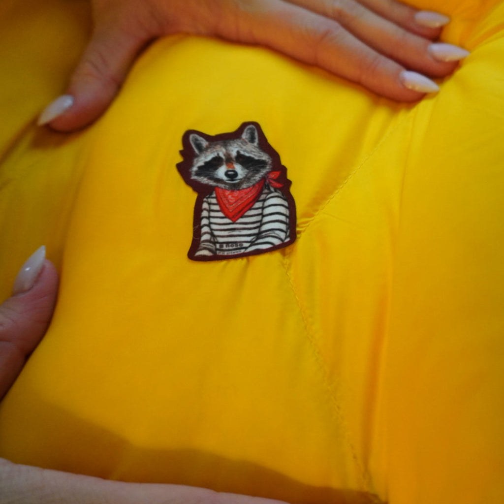 RACCOON BANDIT by Rachel Kozlowski