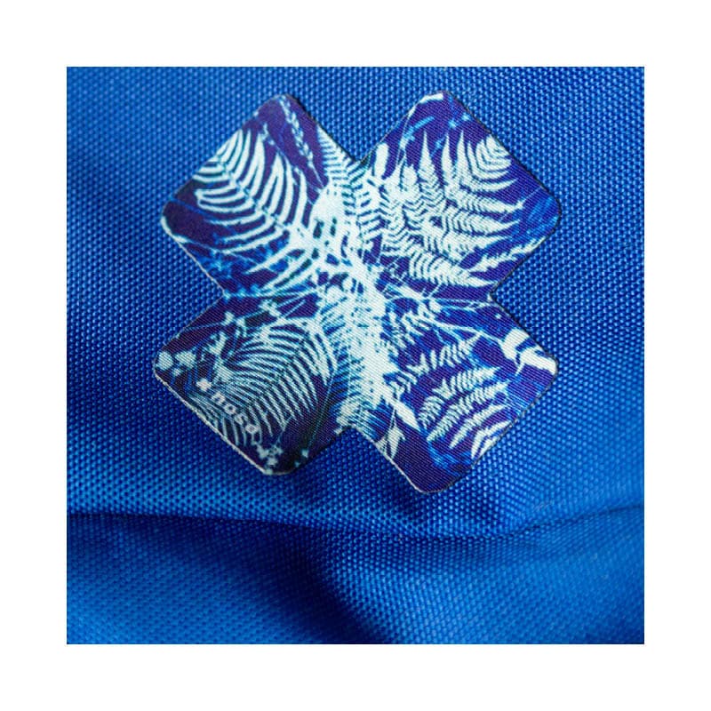 POLYPODIOPHYTA X by Kellie Swanson