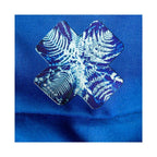 POLYPODIOPHYTA X by Kellie Swanson