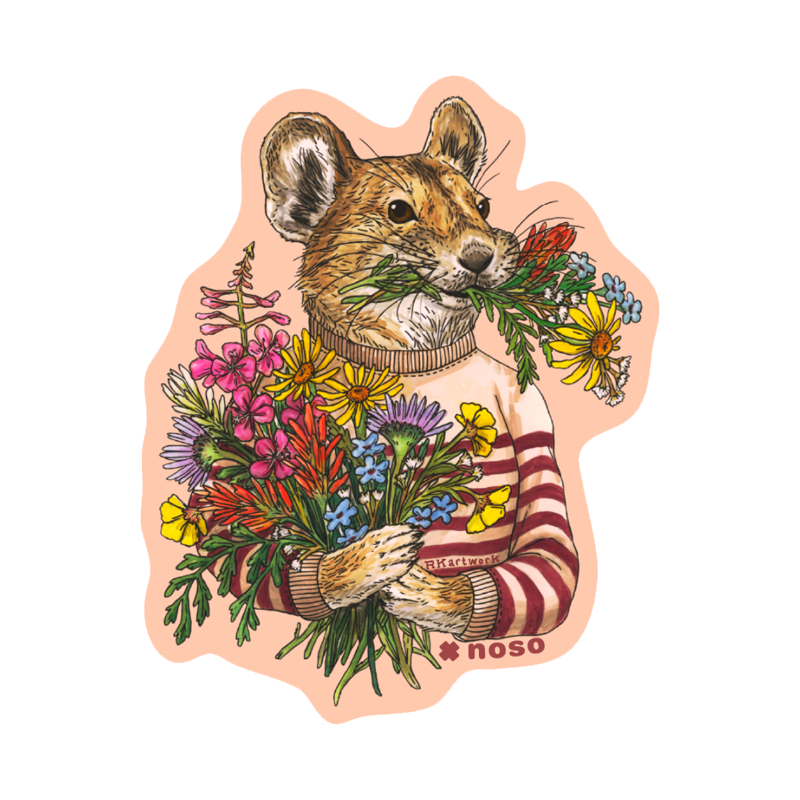 PIKA & WILDFLOWERS by Rachel Kozlowski