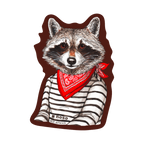 RACCOON BANDIT by Rachel Kozlowski