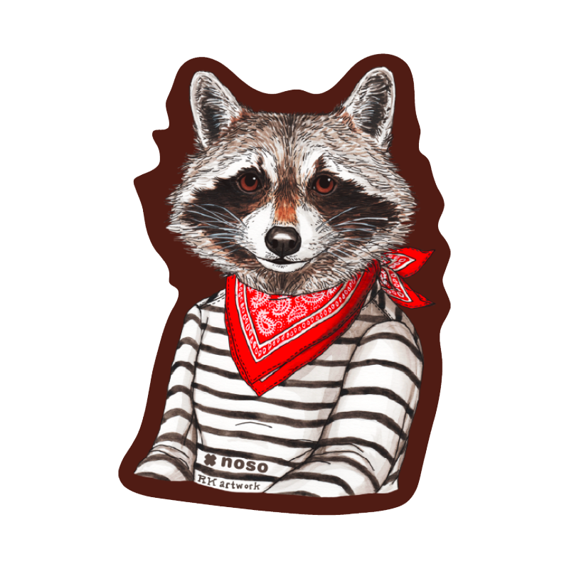 RACCOON BANDIT by Rachel Kozlowski
