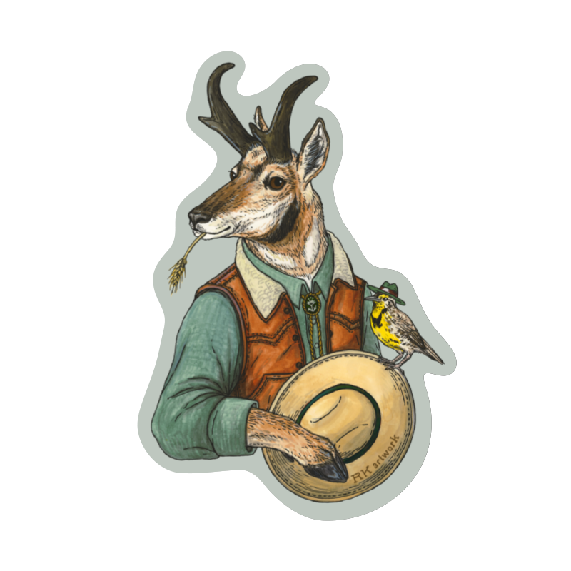 WESTERN PRONGHORN by Rachel Kozlowski