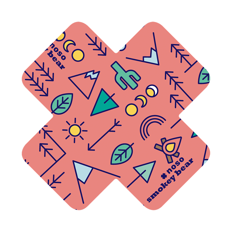 Smokey Bear Camp Patch X