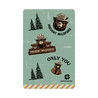 Smokey Bear Only You Patch