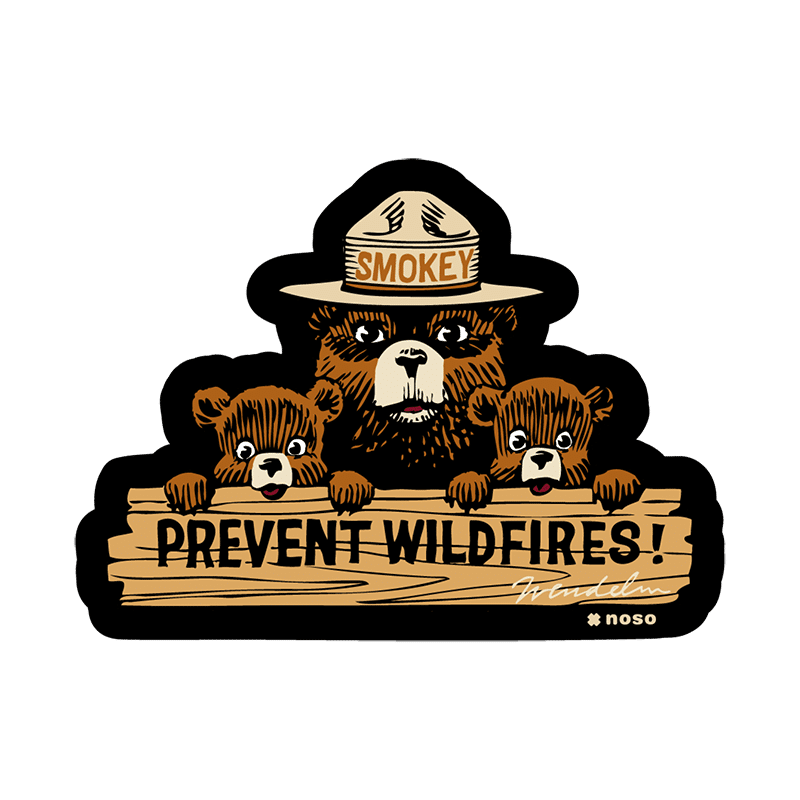 Smokey Bear Prevent WiildFires NoSo Patch