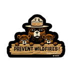 Smokey Bear Prevent WiildFires NoSo Patch