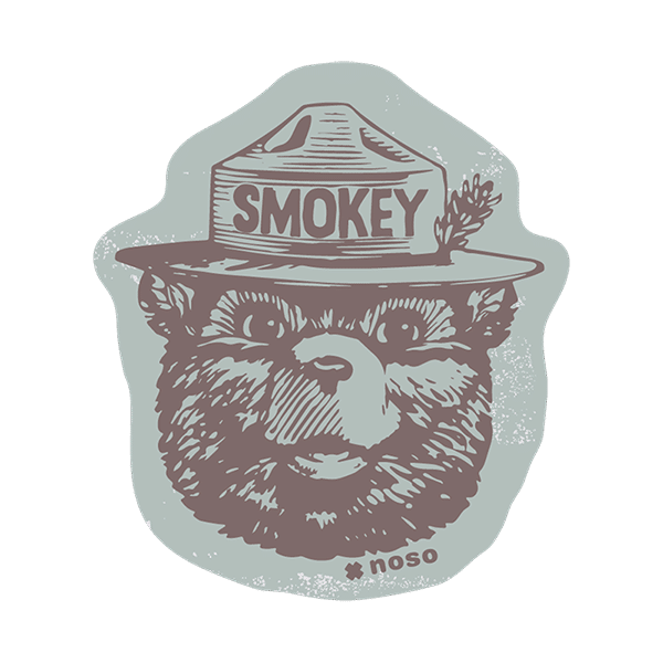 VINTAGE Smokey Bear x NoSo