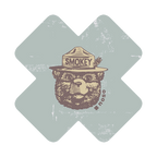Smokey Bear X Vintage Patch