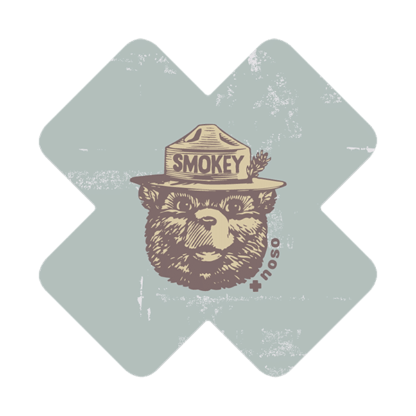 Smokey Bear X Vintage Patch