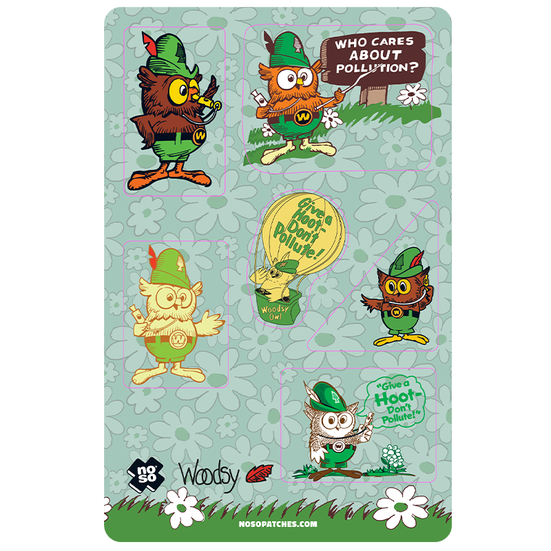 WOODSY OWL DAZZITS™ Woodsy Owl x NoSo
