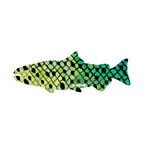 NEW ZEALAND RAINBOW by A.D. Maddox