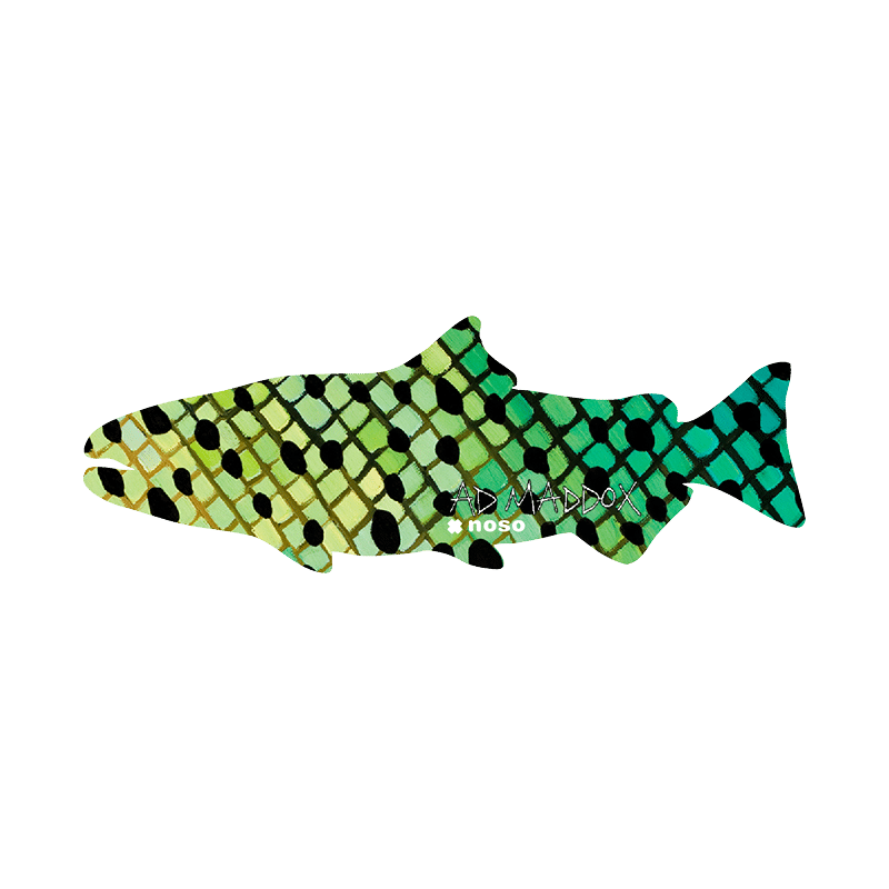 NEW ZEALAND RAINBOW by A.D. Maddox