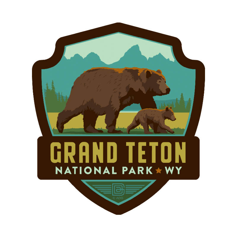 GRAND TETON BEAR  by Anderson Design Group