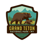 GRAND TETON BEAR  by Anderson Design Group