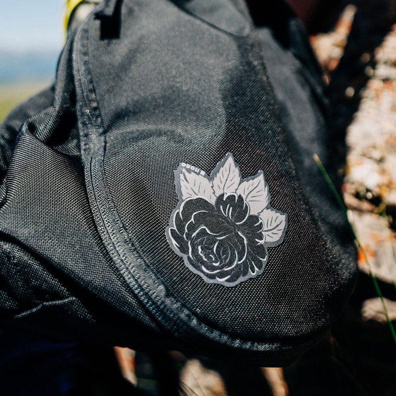 BLACK ROSE GRAY LEAVES