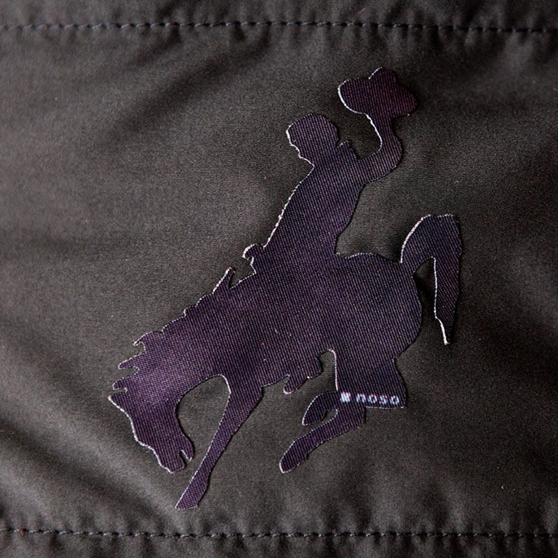 BUCKING HORSE AND RIDER