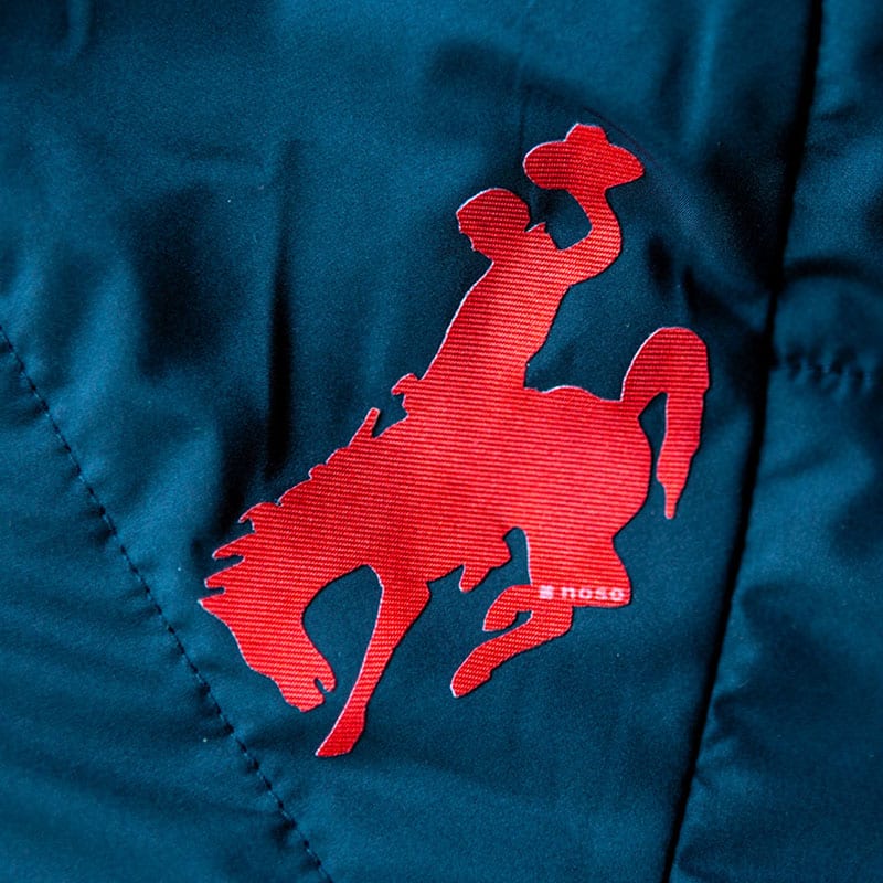 BUCKING HORSE AND RIDER